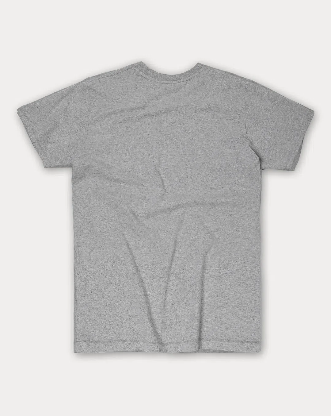 ERSTWHILE Tshirt Waaier TDF - Light Grey - Image 6