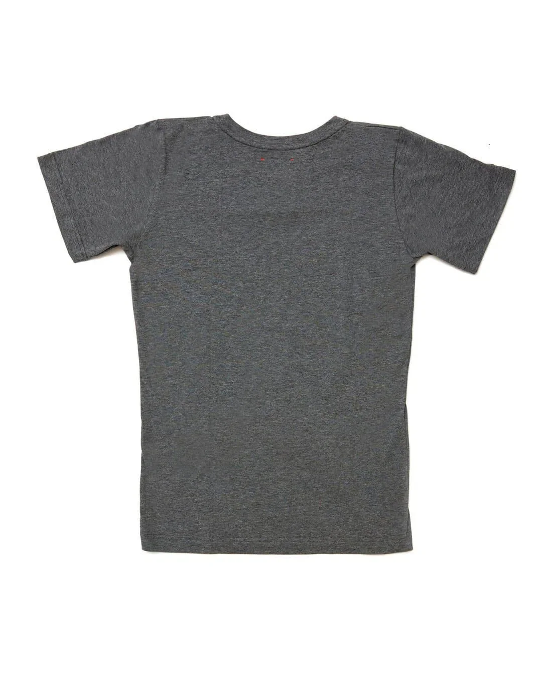 FESTKA Tshirt x Chatty - Grey - Image 2