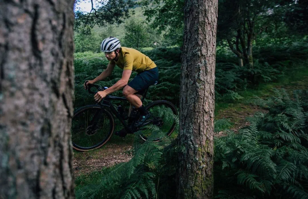 PEDALED Jary Merino Jersey - Mustard - Image 4