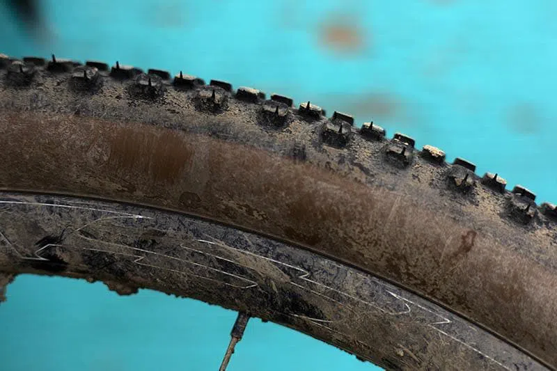 RENE HERSE Gravel Tyre Oracle Ridge TC Endurance - Dark Tan - Image 2