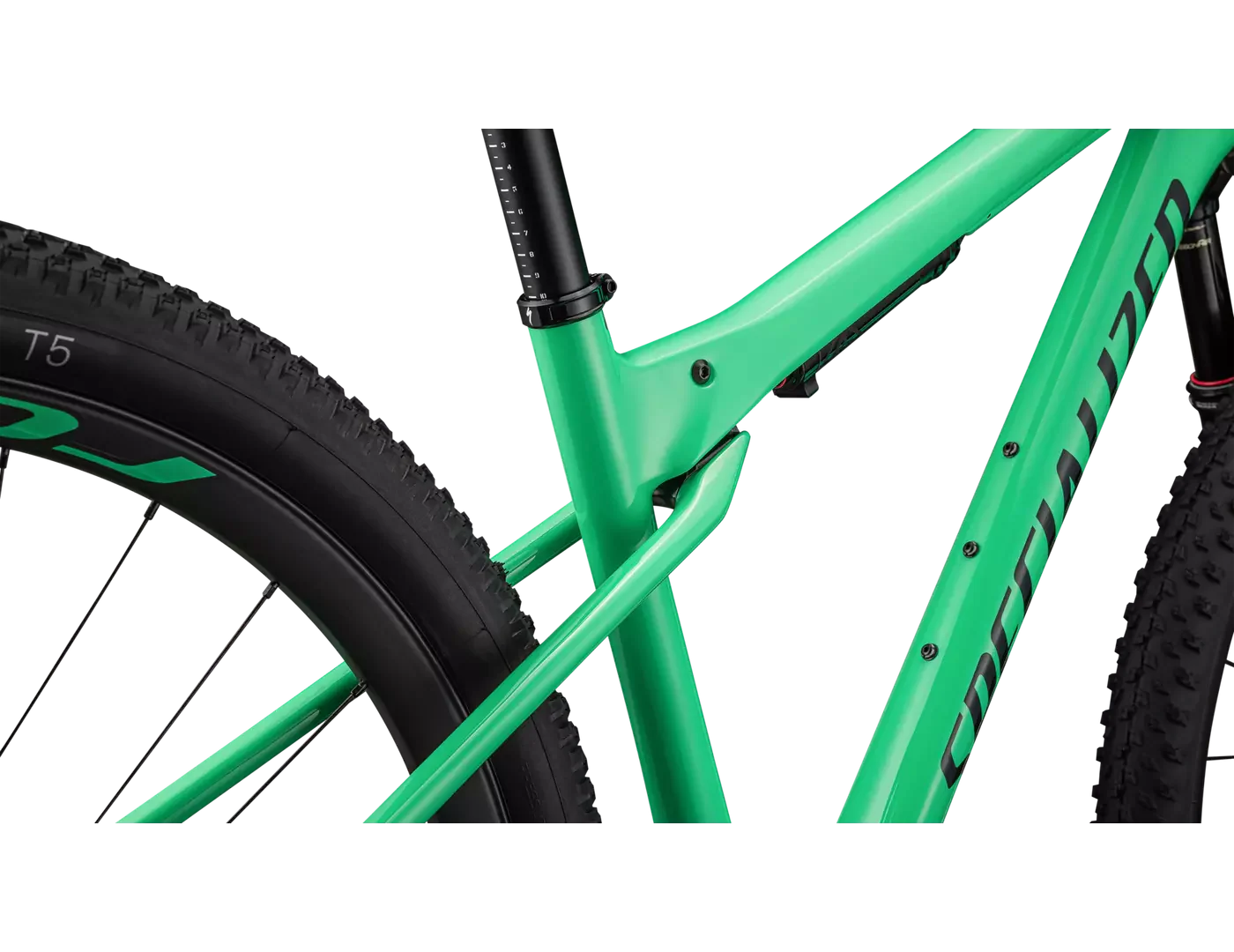SPECIALIZED Epic WC Expert SRAM GX AXS  Mountain Bike - Gloss Electric Green / Forest Green Pearl - Image 5