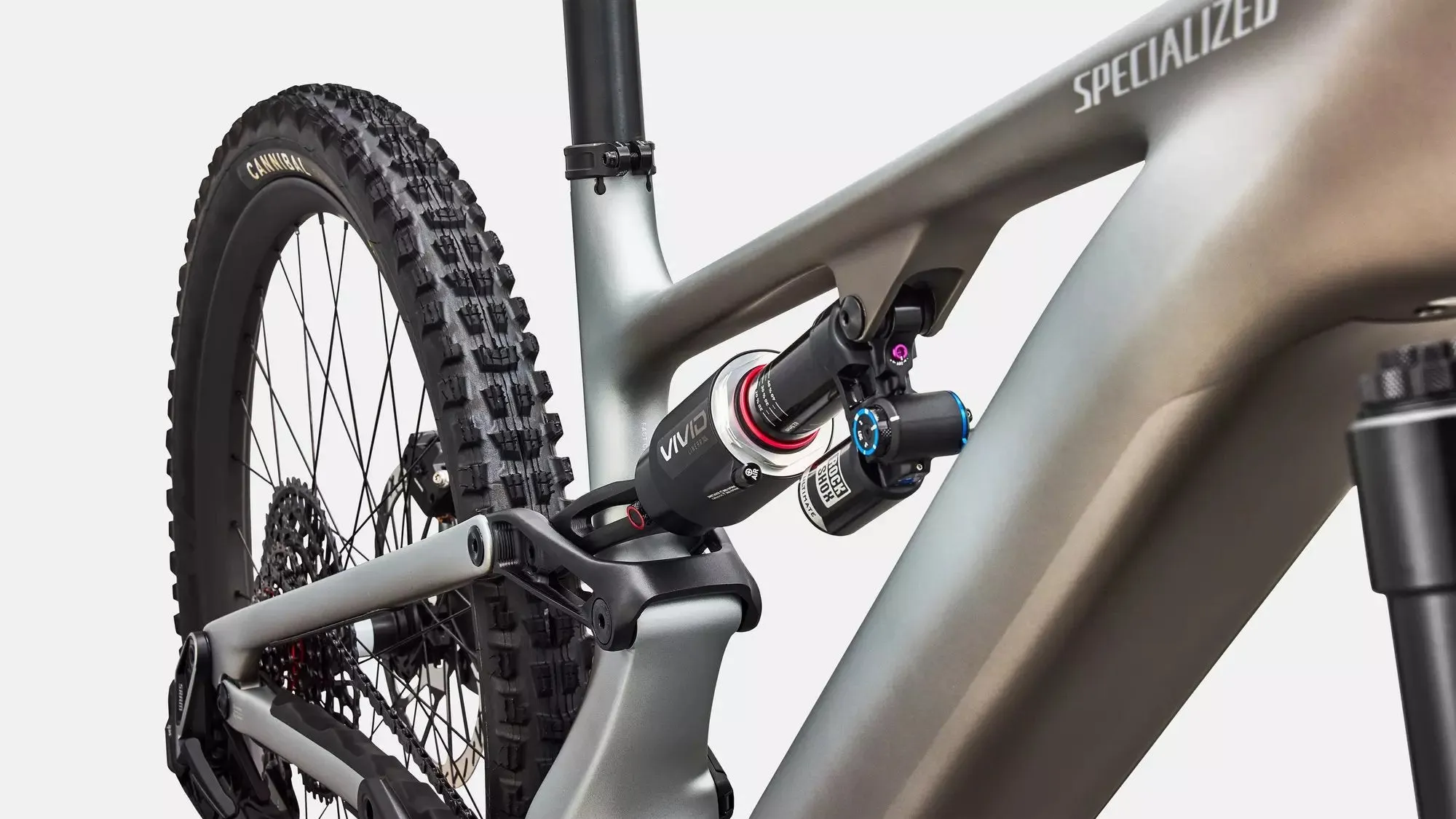 SPECIALIZED Levo 4 EVO Pro - Satin Shadow / Silver Dust - Image 6